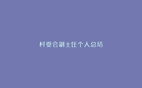 村委会副主任个人总结