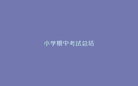 小学期中考试总结