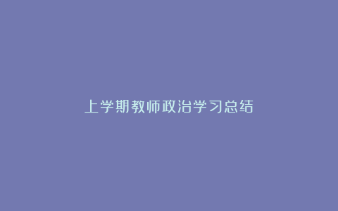 上学期教师政治学习总结