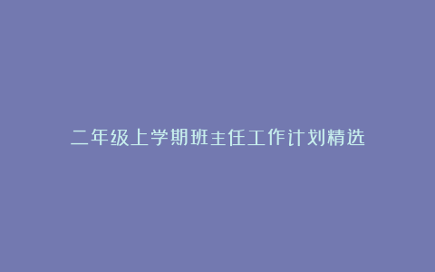 二年级上学期班主任工作计划精选