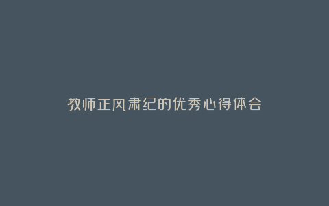 教师正风肃纪的优秀心得体会