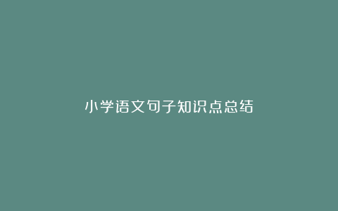 小学语文句子知识点总结