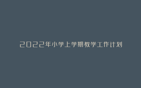 2022年小学上学期教学工作计划