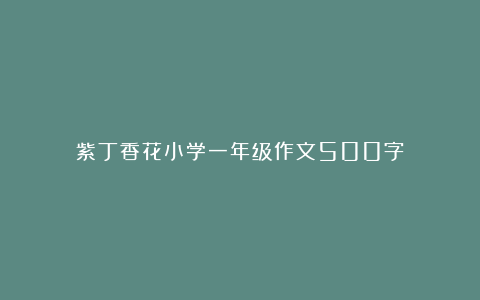 紫丁香花小学一年级作文500字