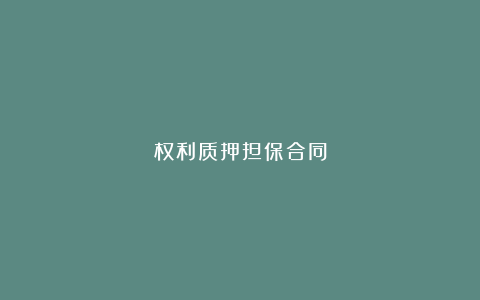 权利质押担保合同