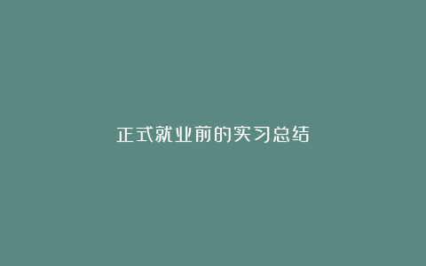 正式就业前的实习总结