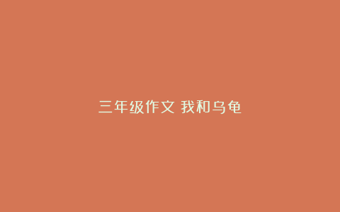 三年级作文：我和乌龟