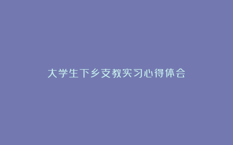 大学生下乡支教实习心得体会