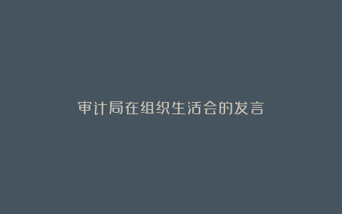 审计局在组织生活会的发言