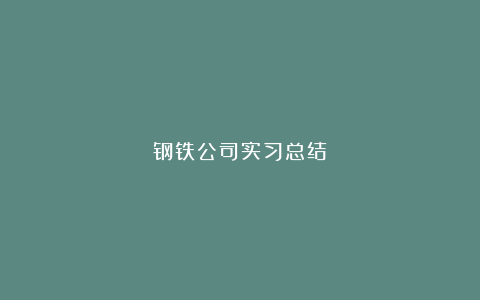 钢铁公司实习总结