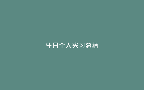 4月个人实习总结