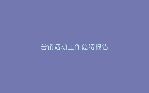 营销活动工作总结报告