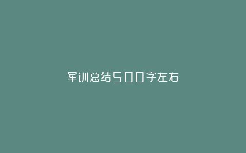 军训总结500字左右