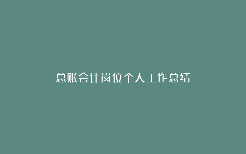 总账会计岗位个人工作总结