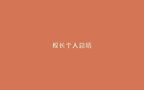 校长个人总结