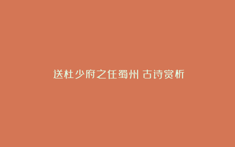 《送杜少府之任蜀州》古诗赏析