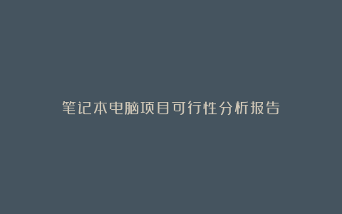 笔记本电脑项目可行性分析报告