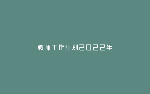 教师工作计划2022年