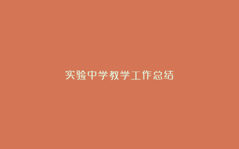 实验中学教学工作总结