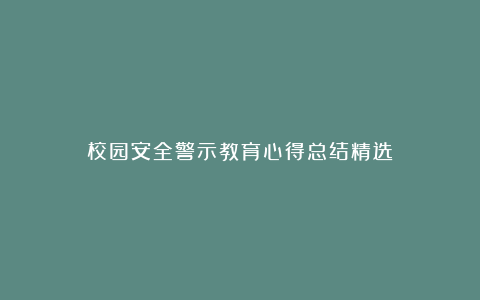 校园安全警示教育心得总结精选