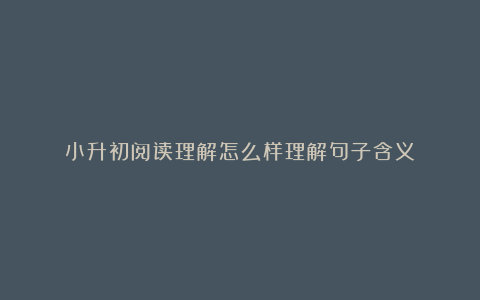 小升初阅读理解怎么样理解句子含义