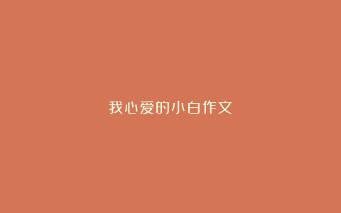 我心爱的小白作文