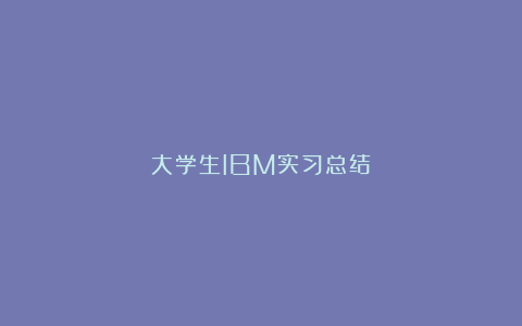 大学生IBM实习总结