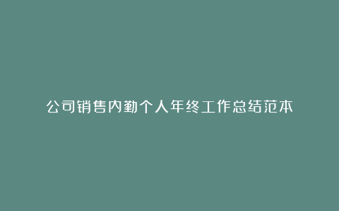 公司销售内勤个人年终工作总结范本