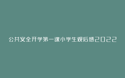 公共安全开学第一课小学生观后感2022