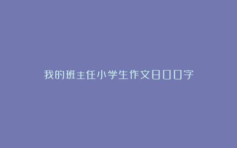 我的班主任小学生作文800字