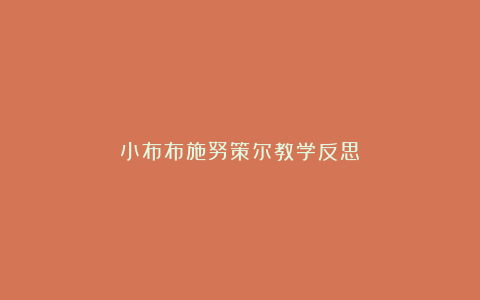 小布布施努策尔教学反思