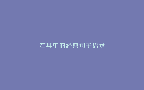 左耳中的经典句子语录