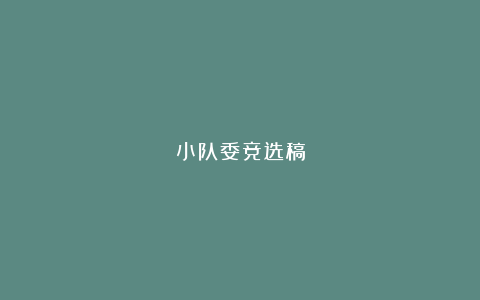 小队委竞选稿