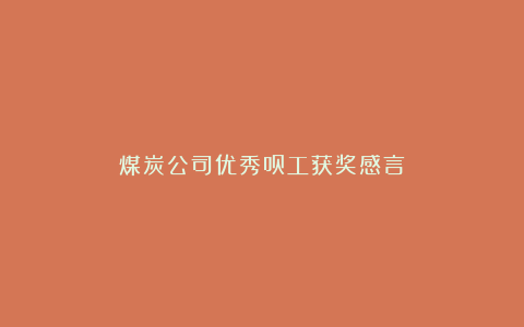 煤炭公司优秀员工获奖感言