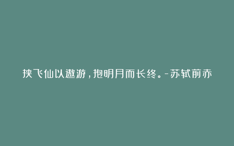 挟飞仙以遨游，抱明月而长终。-苏轼前赤壁赋译文及赏析