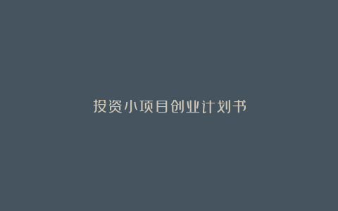 投资小项目创业计划书