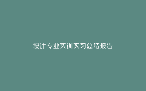 设计专业实训实习总结报告