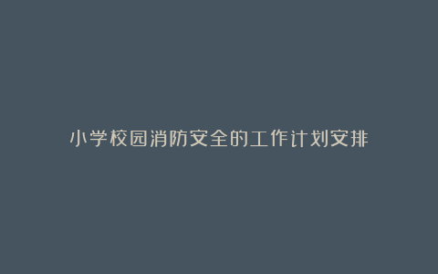 小学校园消防安全的工作计划安排