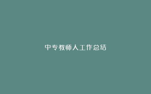 中专教师人工作总结