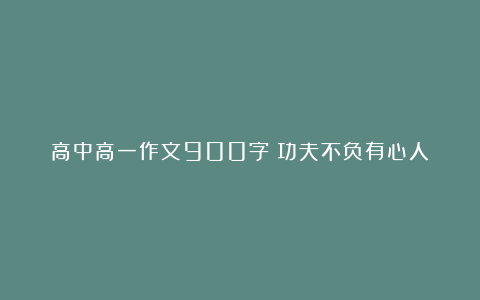 高中高一作文900字：功夫不负有心人