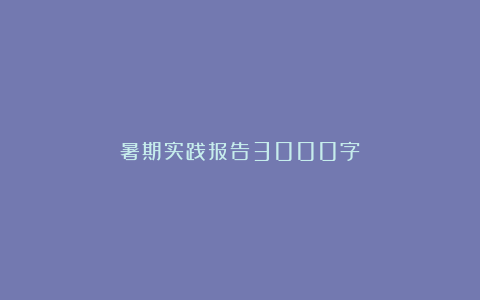 暑期实践报告3000字