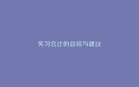 实习会计的总结与建议