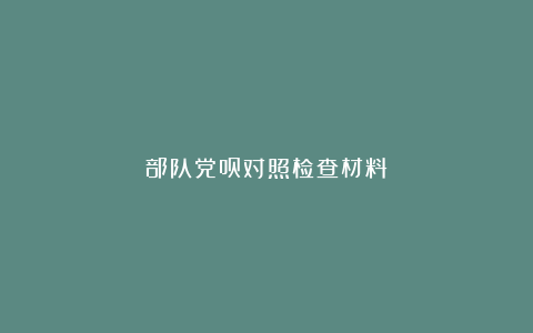 部队党员对照检查材料