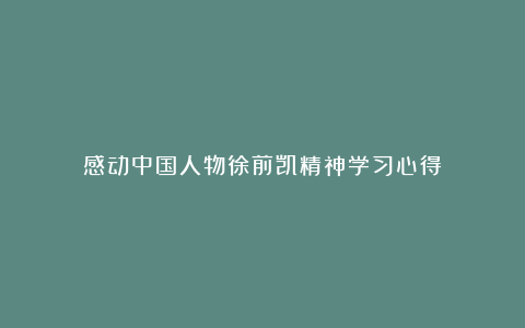 感动中国人物徐前凯精神学习心得