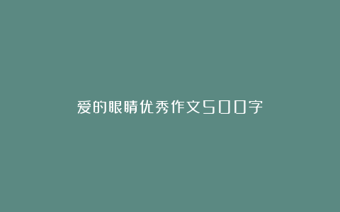 爱的眼睛优秀作文500字