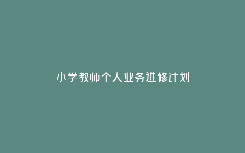 小学教师个人业务进修计划