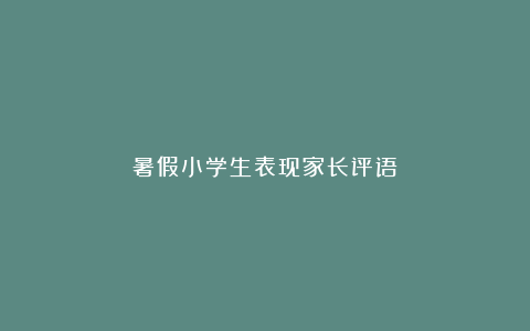 暑假小学生表现家长评语