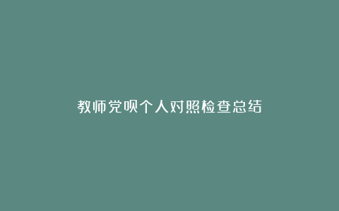 教师党员个人对照检查总结