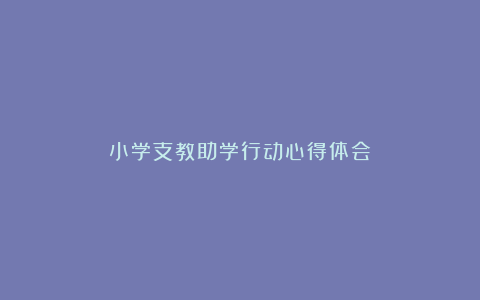 小学支教助学行动心得体会