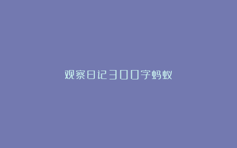 观察日记300字蚂蚁